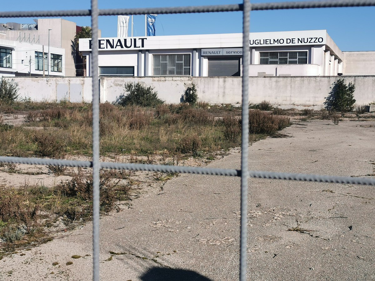 Terreno a Maglie (LE) - immagine 4