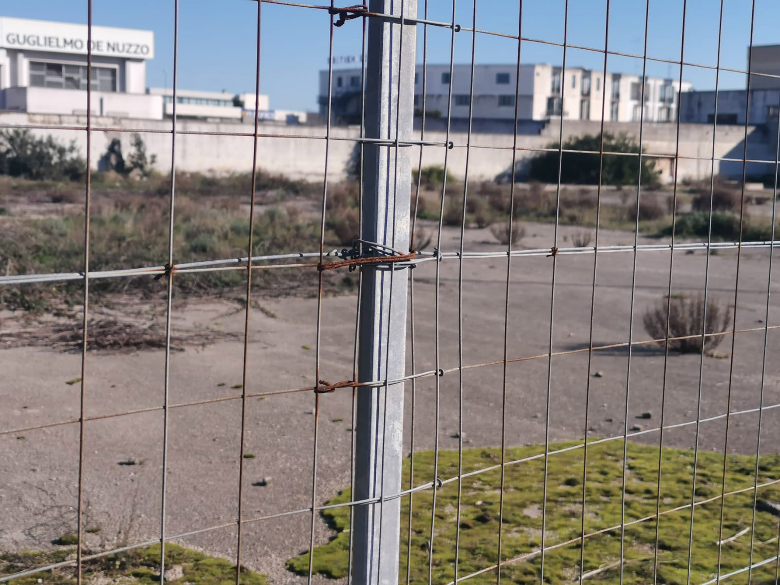 Terreno a Maglie (LE) - immagine 9