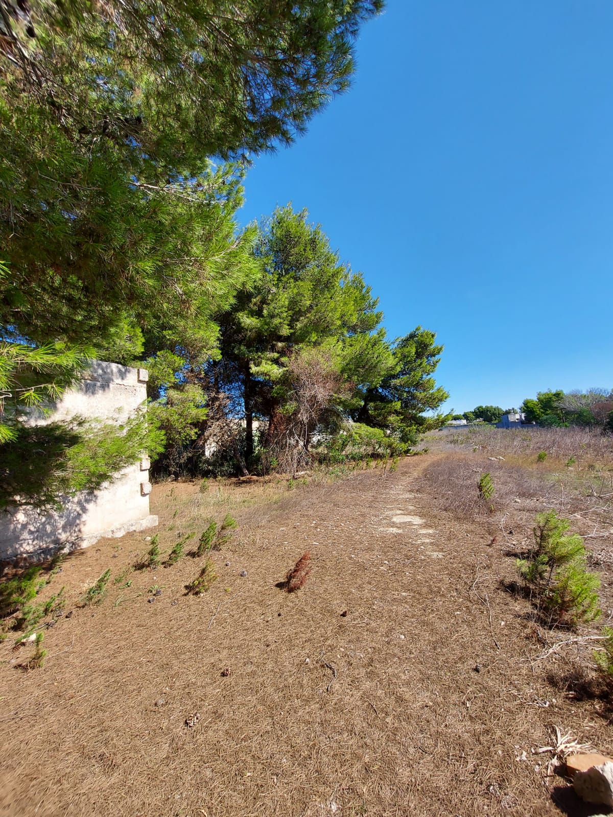 Terreno a Torre Squillace (LE)