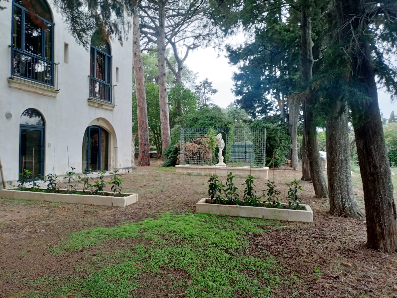 Vendita struttura ricettiva extra-alberghiera in Cutrofiano (LE) - immagine 2